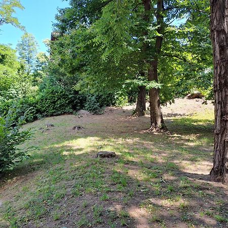 Villetta Singola Con Giardino Cottage Ghisallo Zona Bellagio Magreglio Dış mekan fotoğraf