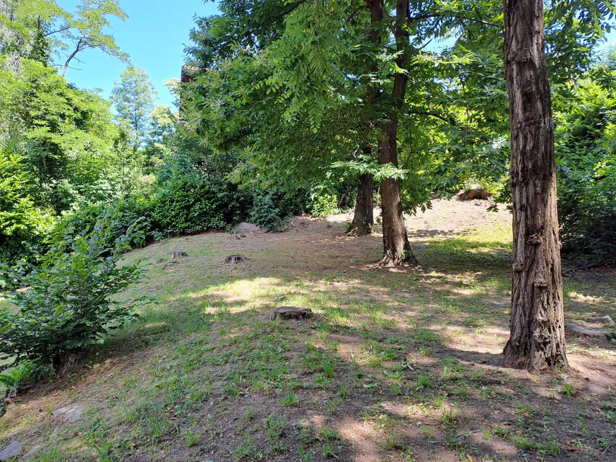 Villetta Singola Con Giardino Cottage Ghisallo Zona Bellagio Magreglio Dış mekan fotoğraf